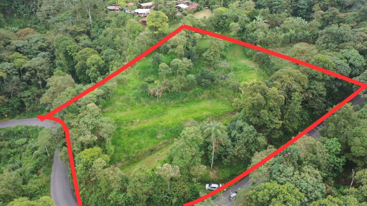 En Venta – Excelente Terreno en Mindo — imagen 8