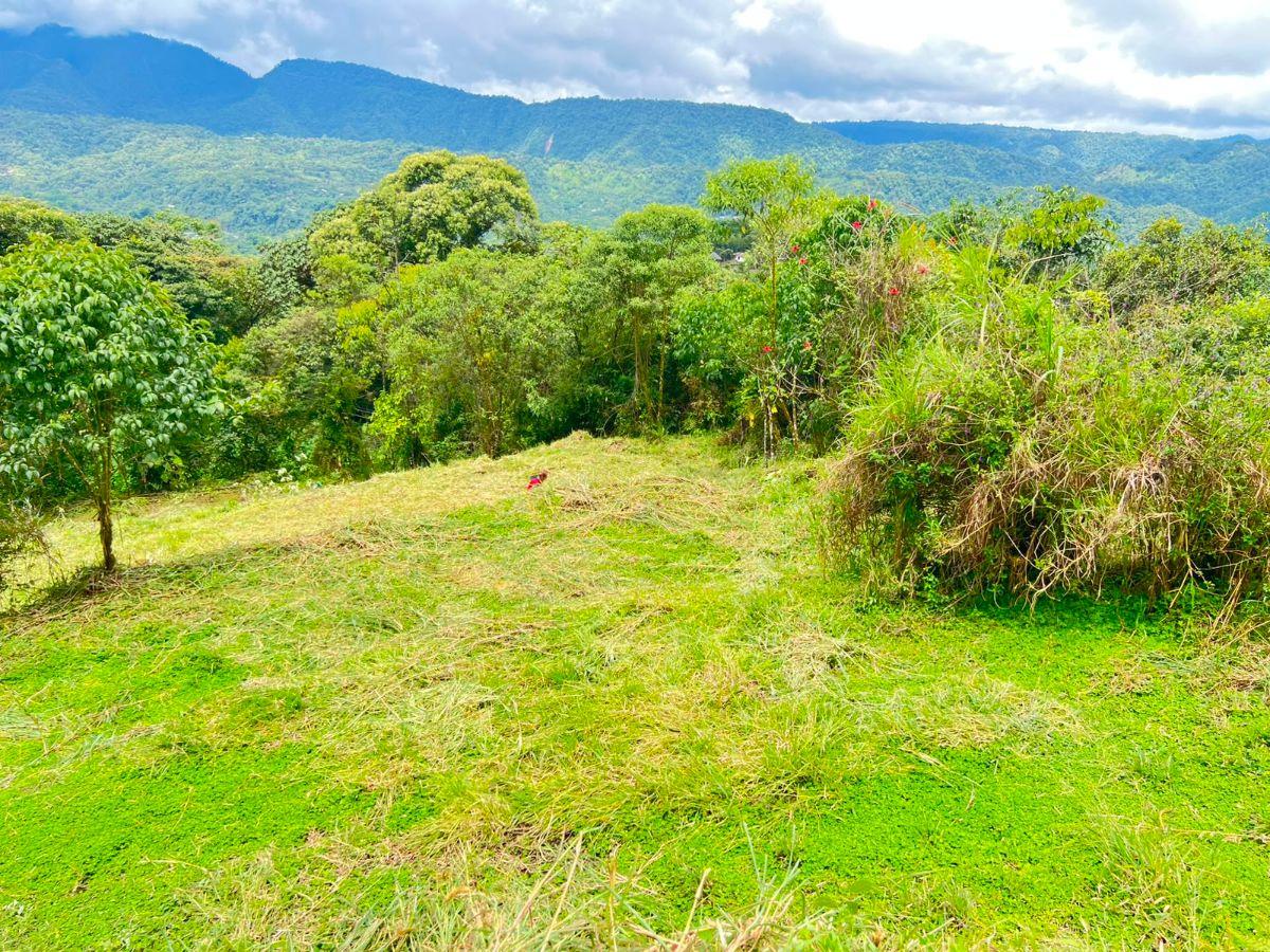 En Venta – Excelente Terreno en Mindo — imagen 7