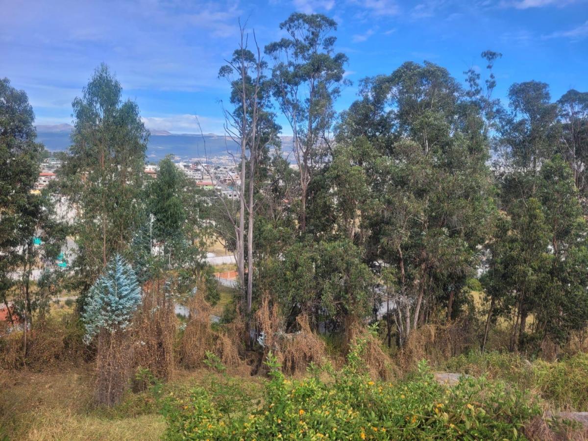 Vendo Terreno de 1.057 m² de Ushimana Valle de Los Chillos — imagen 7