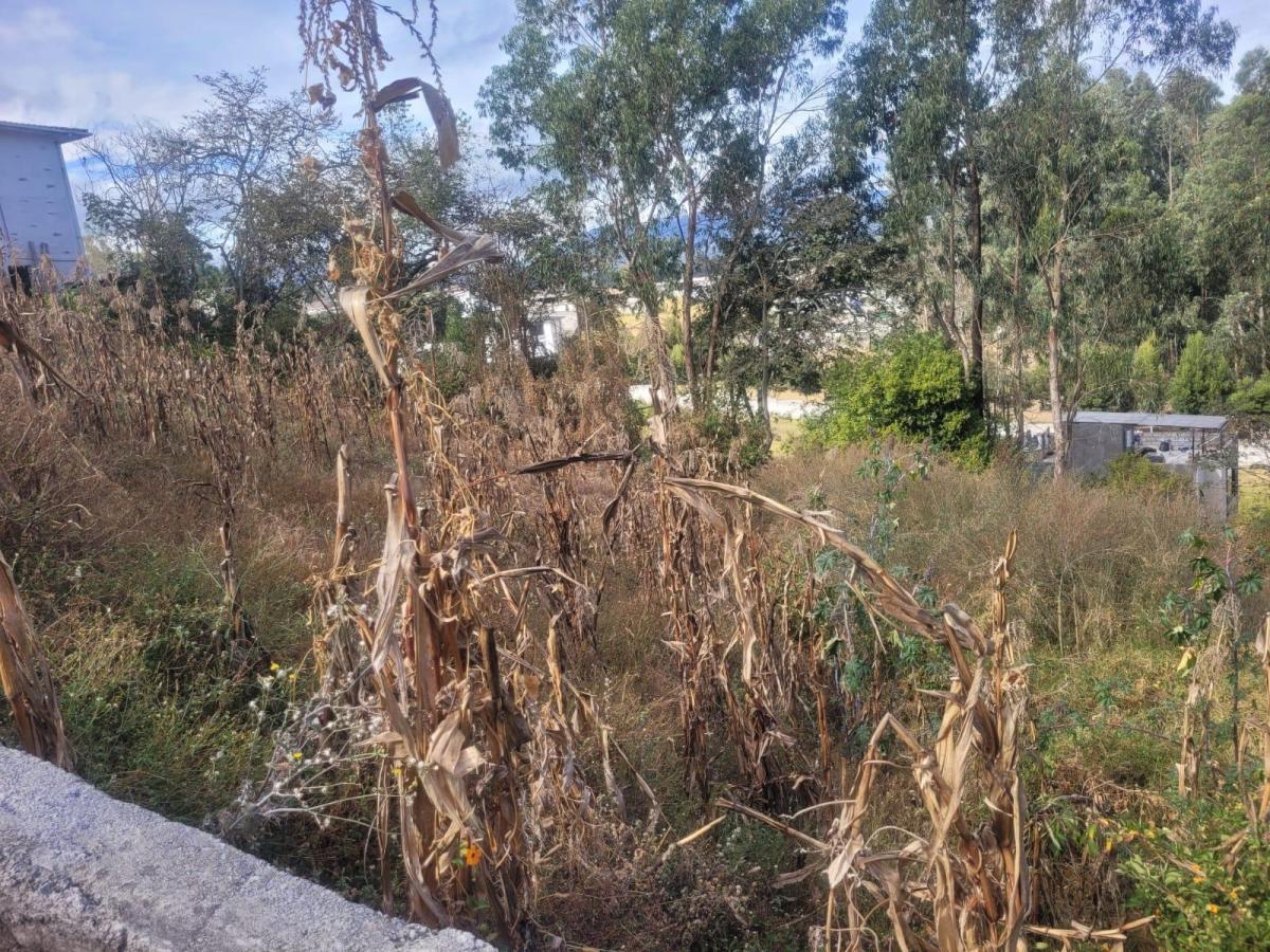 Vendo Terreno de 1.057 m² de Ushimana Valle de Los Chillos — imagen 5