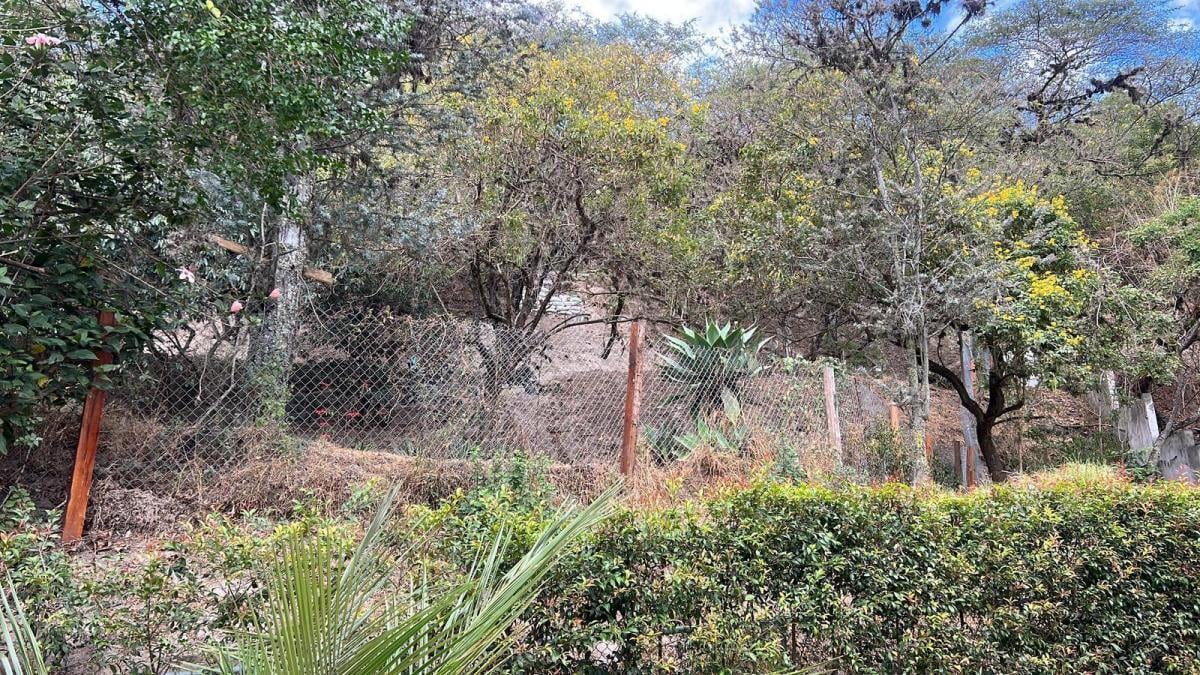 Venta Terreno en Cumbaya en Urbanización Privada — imagen 8