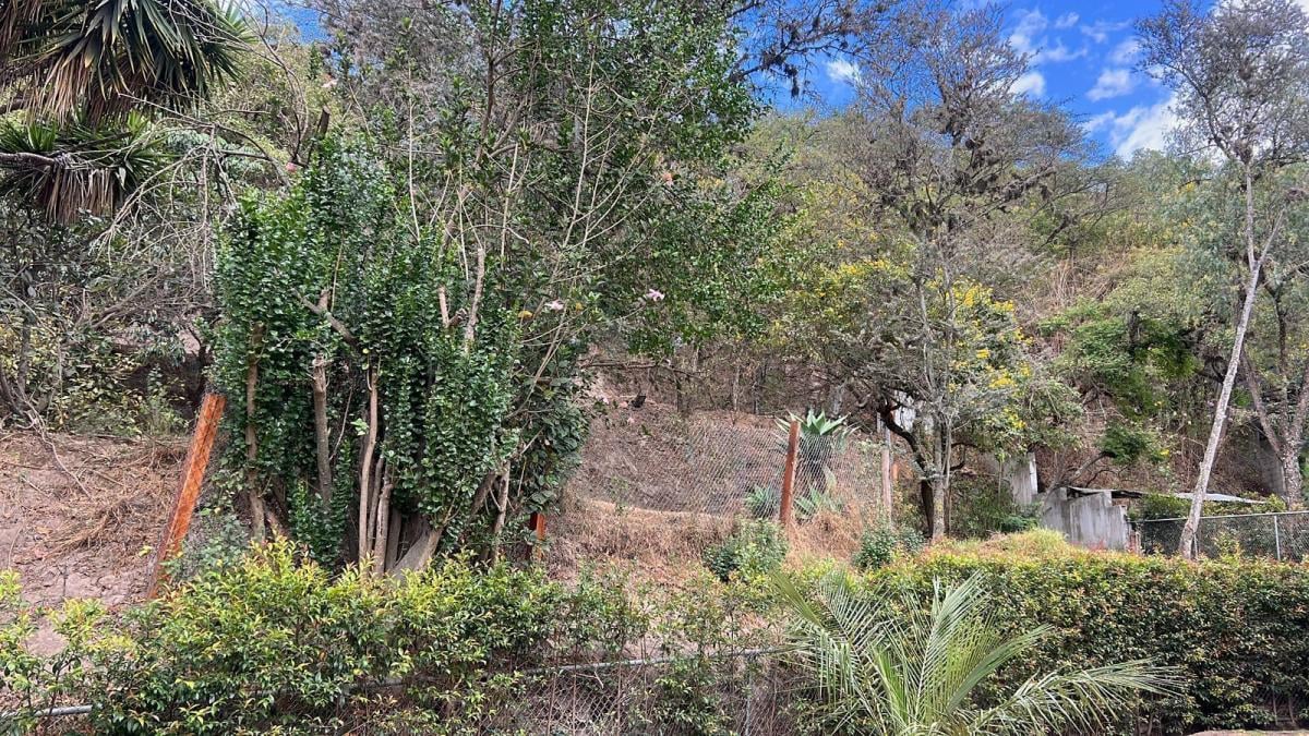 Venta Terreno en Cumbaya en Urbanización Privada — imagen 7