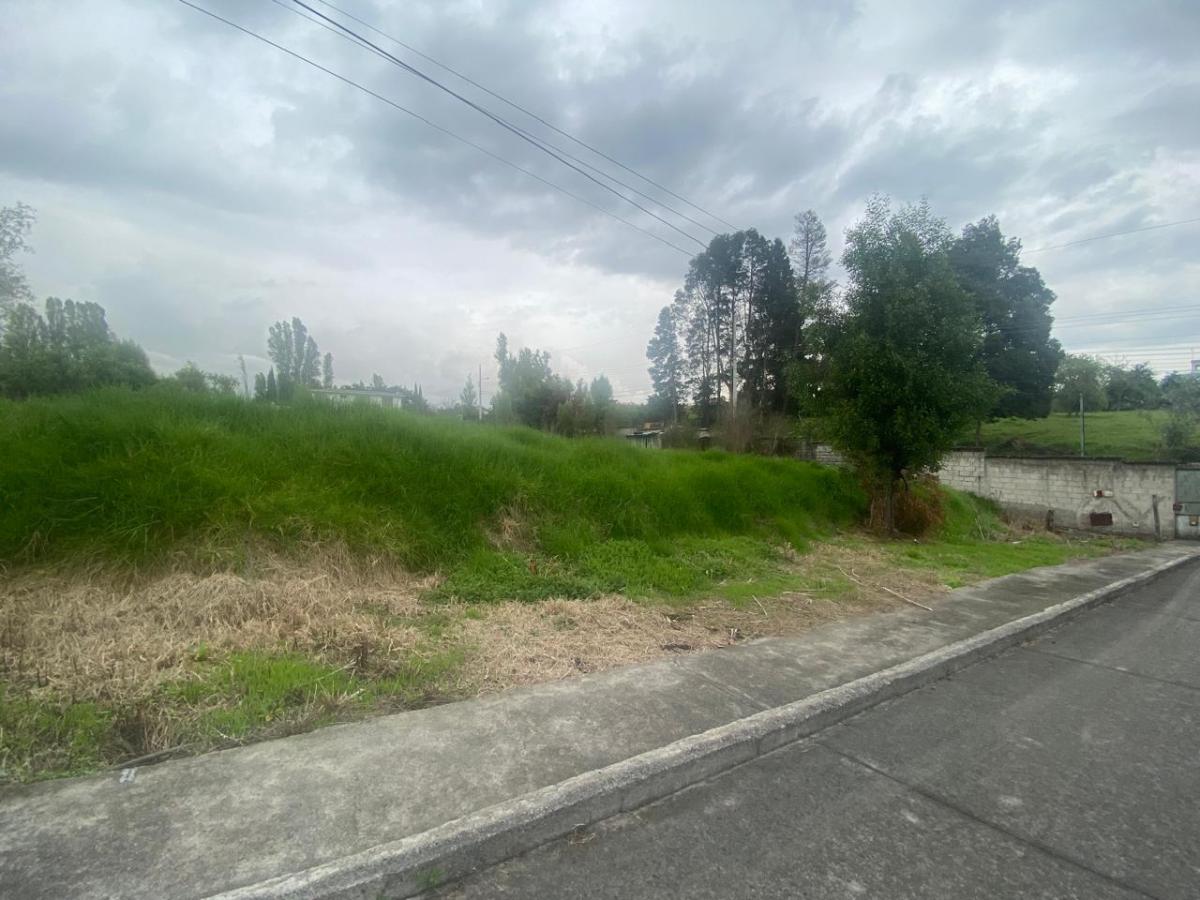 Terreno en Los Chillos — imagen 6