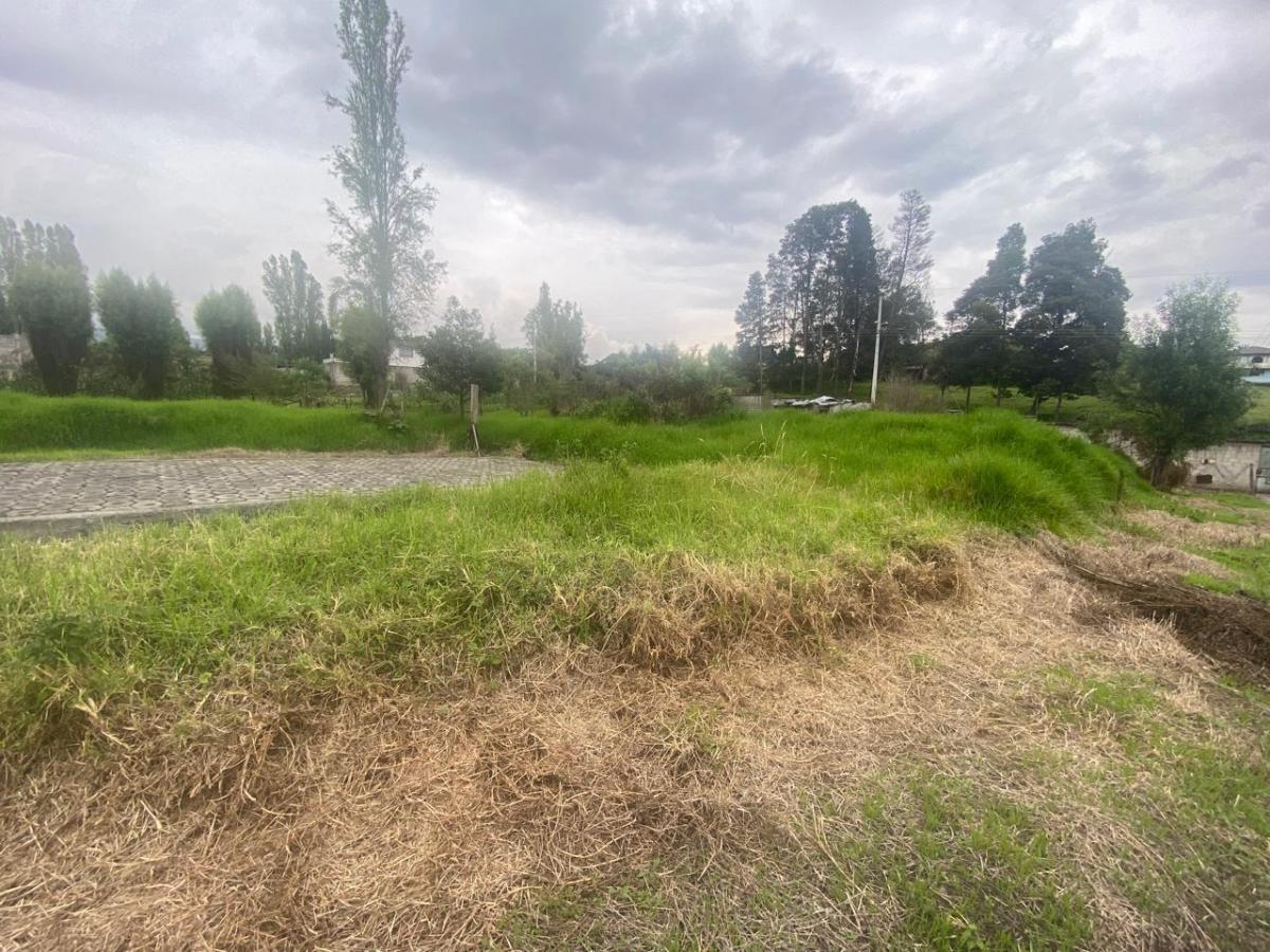 Terreno en Los Chillos — imagen 5