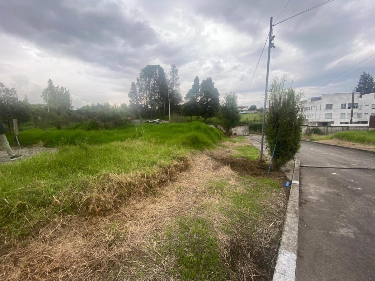 Terreno en Los Chillos — imagen 4