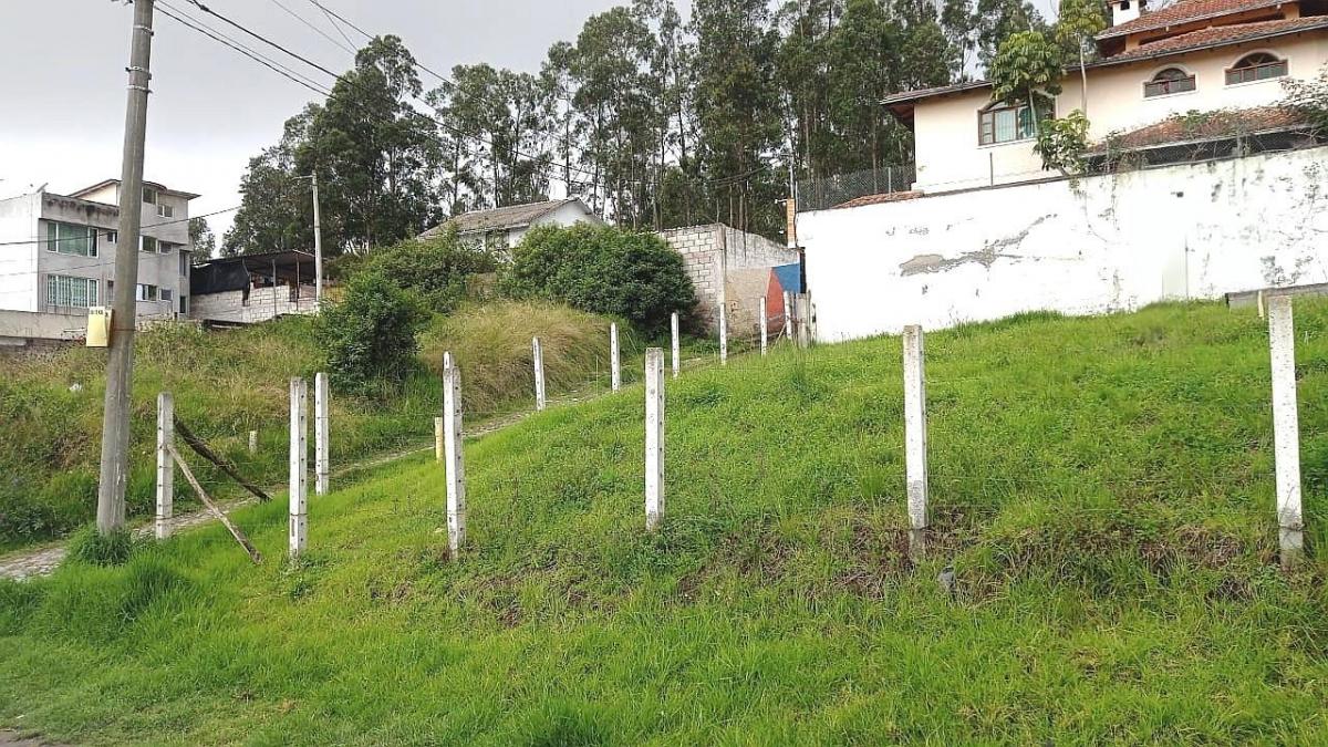 Terreno Esquinero Independiente Sector Urabá, Norte de Quito — imagen 10
