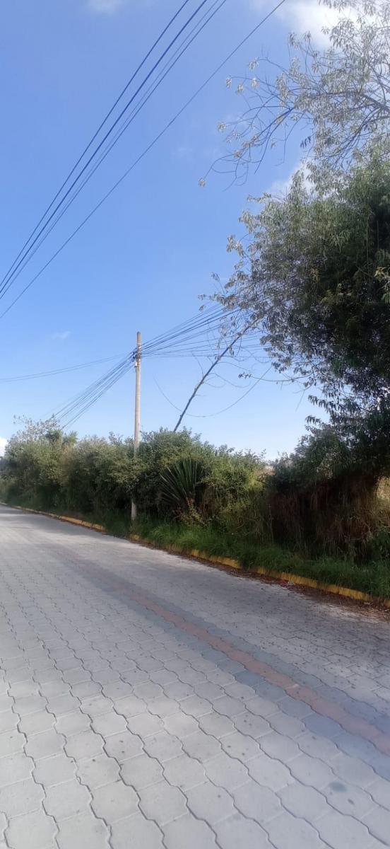 Terreno 2200 m² en Venta Sector Bonanza en Calderón — imagen 5