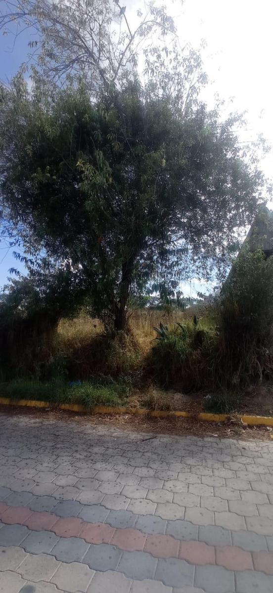 Terreno 2200 m² en Venta Sector Bonanza en Calderón — imagen 4