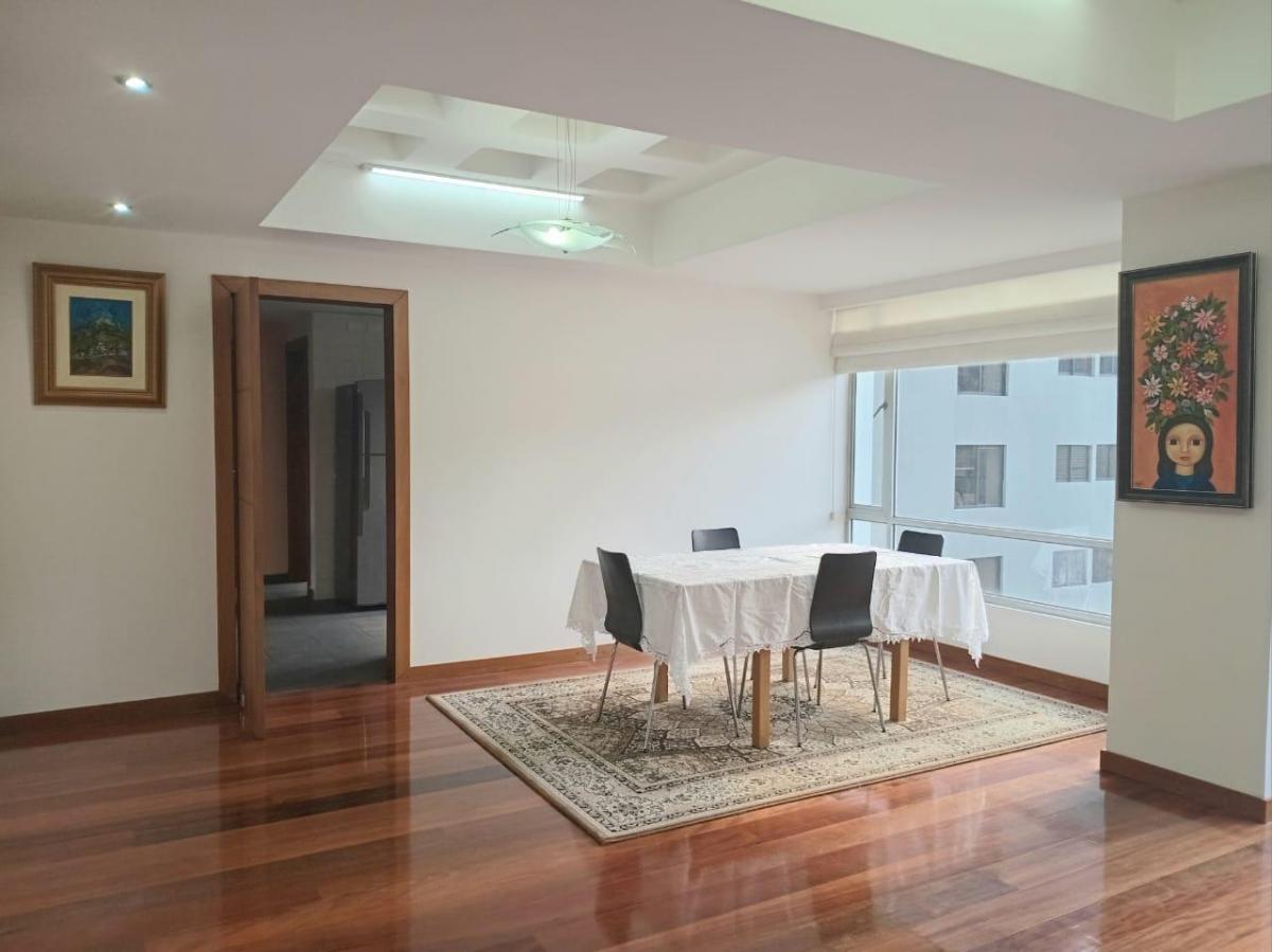 Departamento de Venta - Sector La Carolina — imagen 9