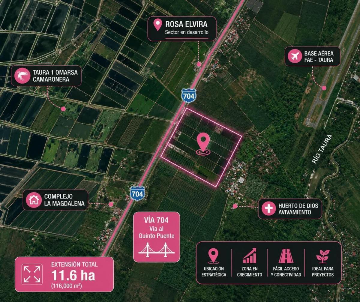 Terreno Industrial en Venta, Via Duran Taura, Rosa Elvira, Cyp, Guayas — imagen 9