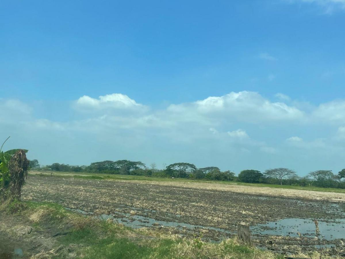 Terreno Industrial en Venta, Via Duran Taura, Rosa Elvira, Cyp, Guayas — imagen 7