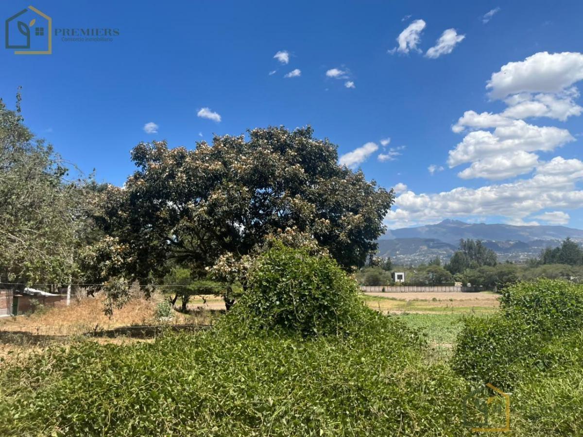 Terreno a Lado de Arrayanes — imagen 9