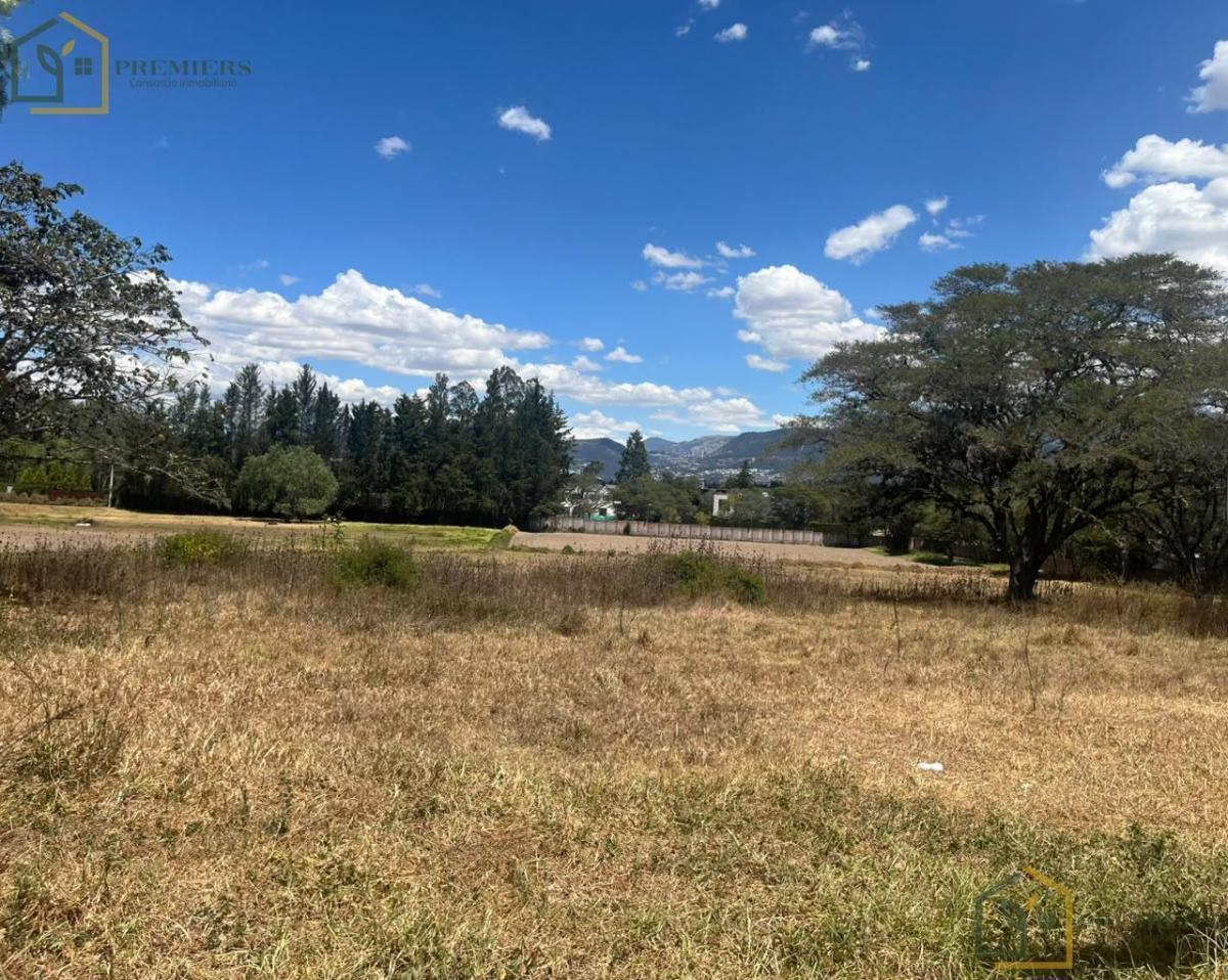 Terreno a Lado de Arrayanes — imagen 6