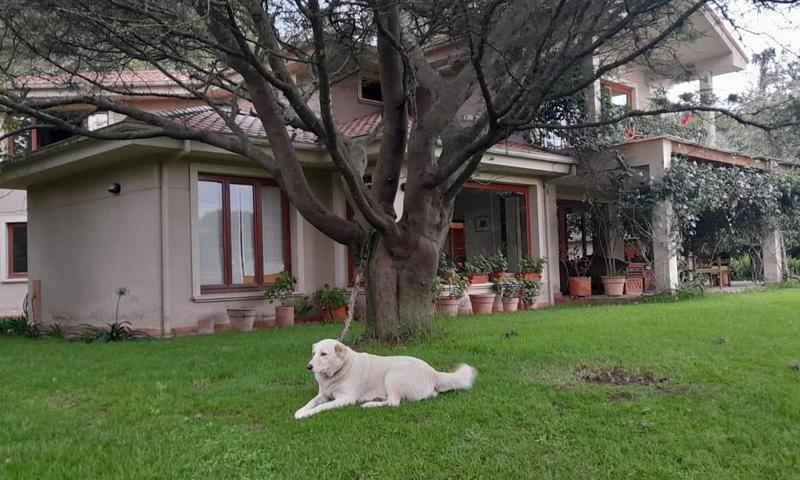 En Venta Hermosa Propiedad Ideal Para Proyecto Inmobiliario - Tumbaco — imagen 8