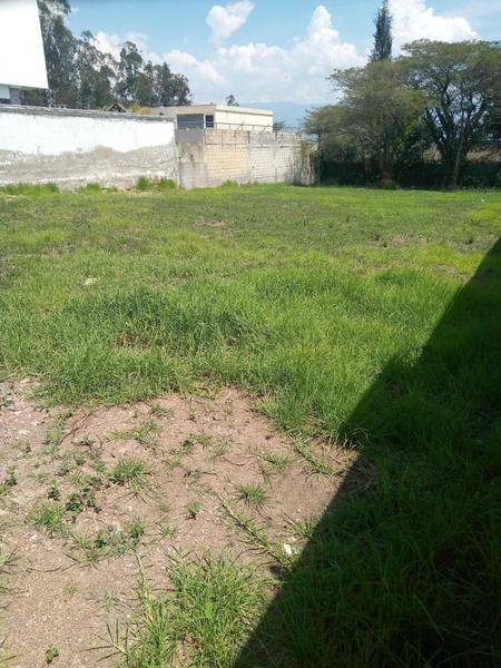 Vendo Terreno en Yanazarapata Cumbayá — imagen 3