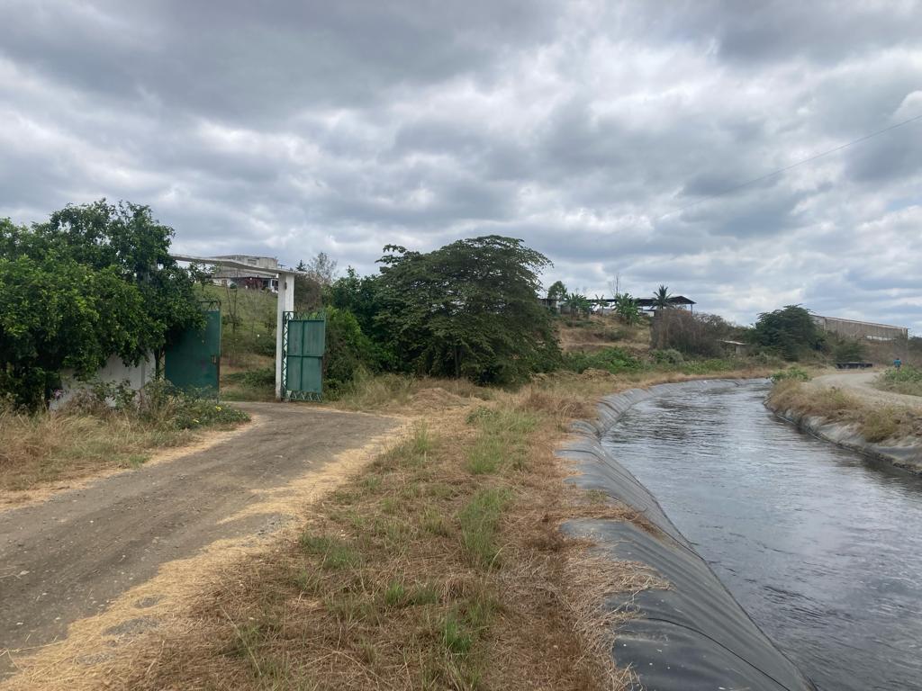 Finca en Venta de 60 Ha en El Sector del Azúcar, Santa Elena - N. Dorado — imagen 10