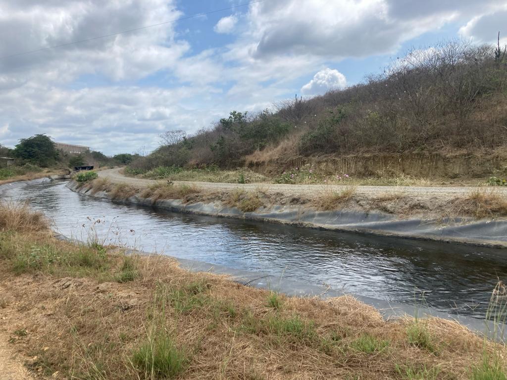Finca en Venta de 60 Ha en El Sector del Azúcar, Santa Elena - N. Dorado — imagen 8