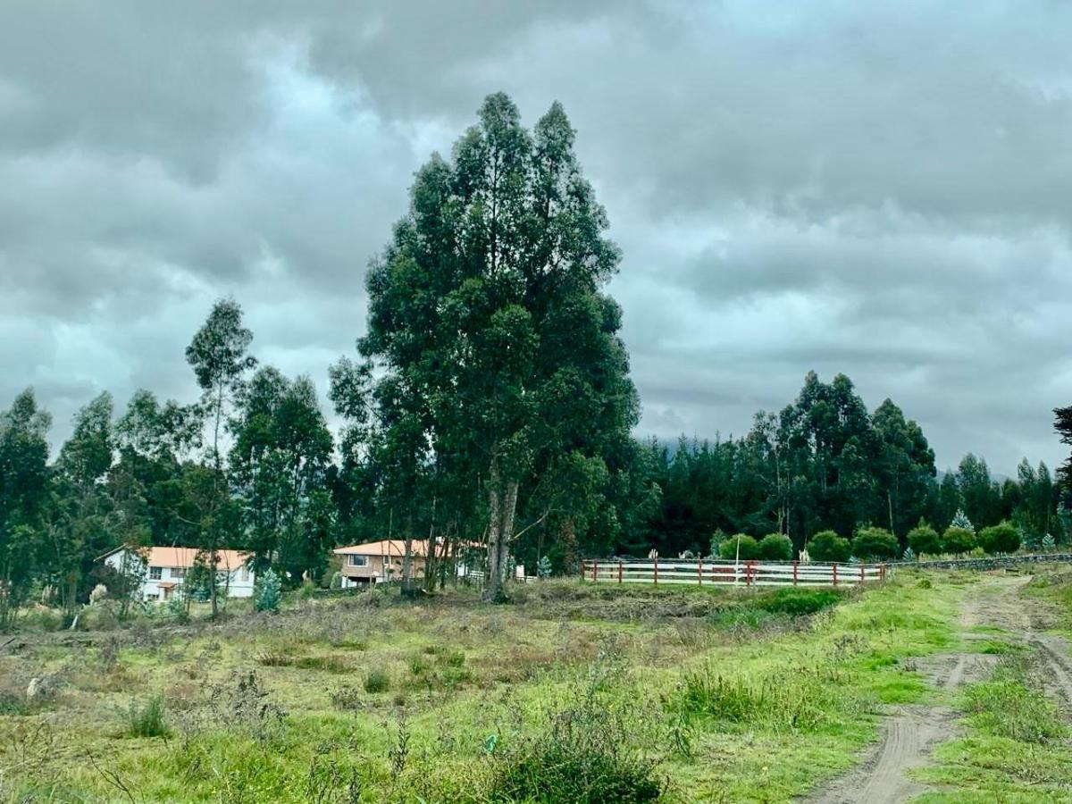 Chimborazo - San Alfonso - Vendo Hermoso Terreno 1.000 m, Chimborazo — imagen 6