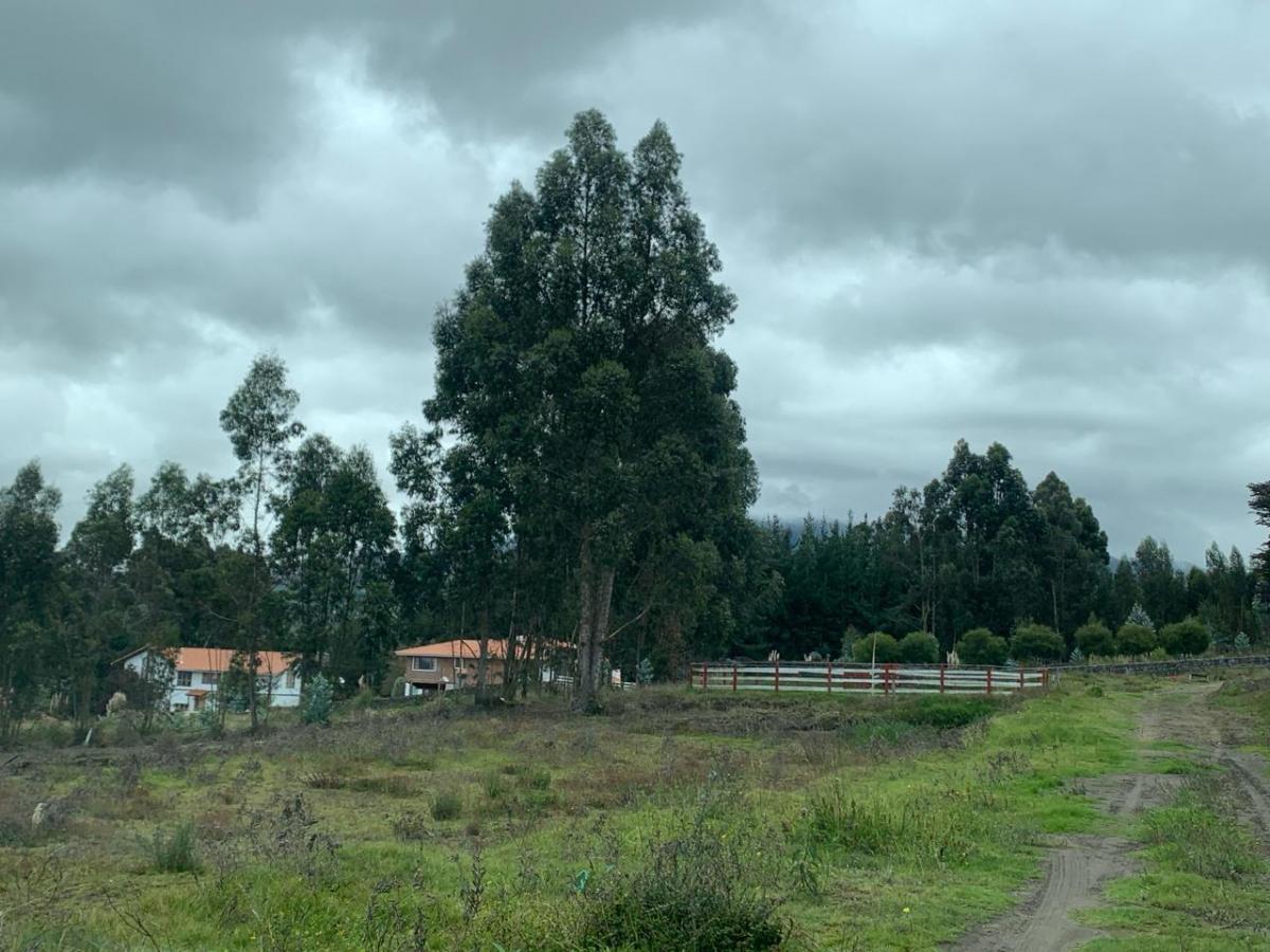 Chimborazo - San Alfonso - Vendo Hermoso Terreno 1.000 m, Chimborazo — imagen 3