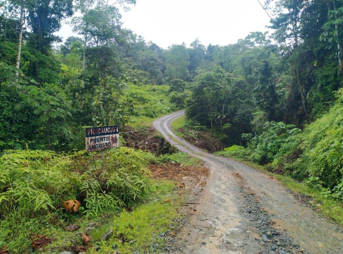 Se Vende Terreno de 3.290 Has Ubicada en Esmeraldas Cantón Eloy Alfaro. Guayas — imagen 5