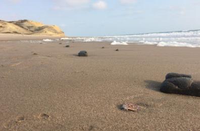 Terreno de 474 Hectáreas, 2 Km de Playa, en Chanduy, Santa Elena. Provincia de Santa Elena — imagen 7