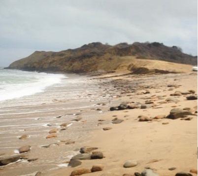 Terreno de 474 Hectáreas, 2 Km de Playa, en Chanduy, Santa Elena. Provincia de Santa Elena — imagen 6
