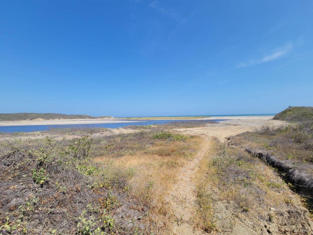 Terreno de 474 Hectáreas, 2 Km de Playa, en Chanduy, Santa Elena. Provincia de Santa Elena — imagen 4