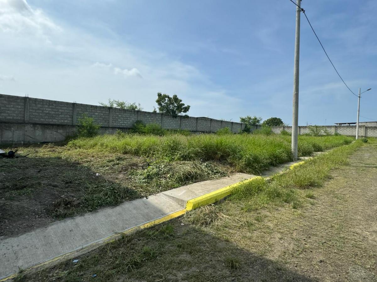Lotes del Terreno en Venta en Lotizacion Las Marias, Manabí — imagen 9