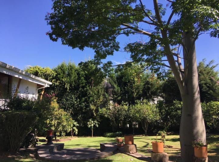 Cumbayá, Vendo, Casa Lineal, en Excelente Urbanizacion, Sector Pillagua, Piscina y Amplio Jardín — imagen 7