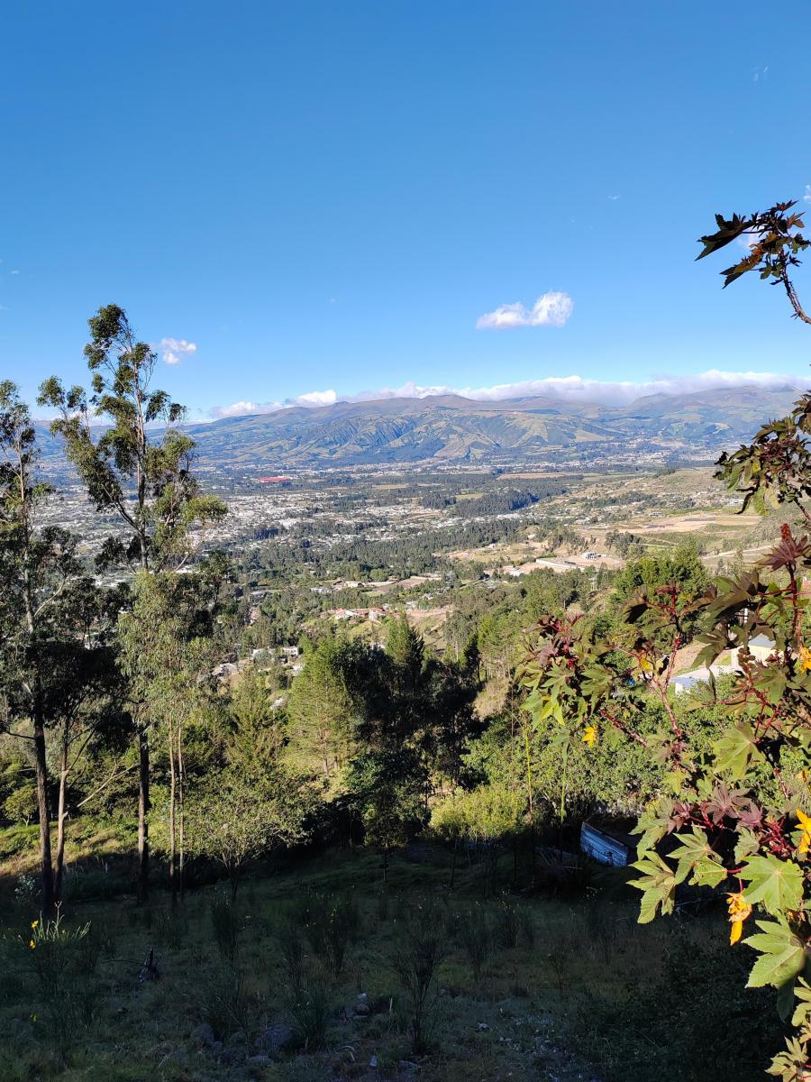 Vendo Terreno en Tumbaco - Comuna Leopoldo Chávez — imagen 10