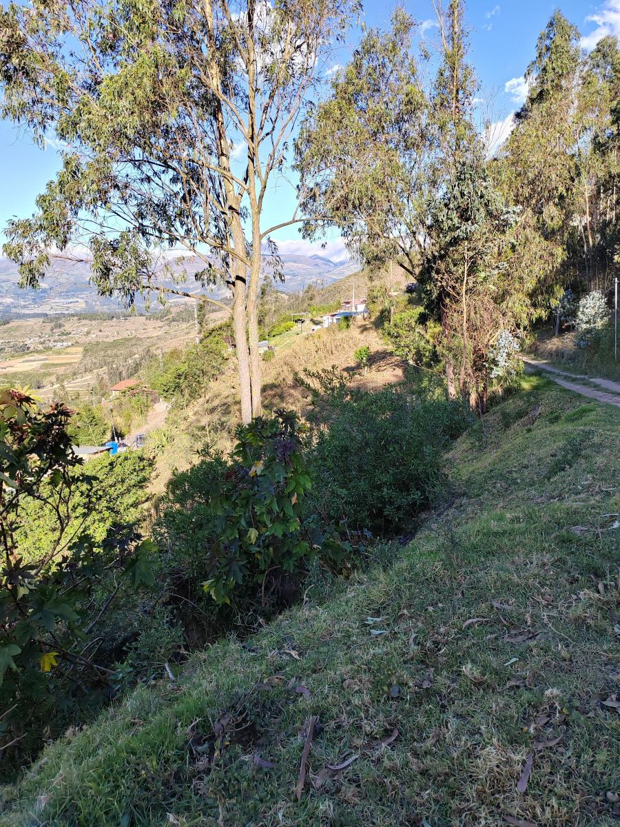Vendo Terreno en Tumbaco - Comuna Leopoldo Chávez — imagen 9