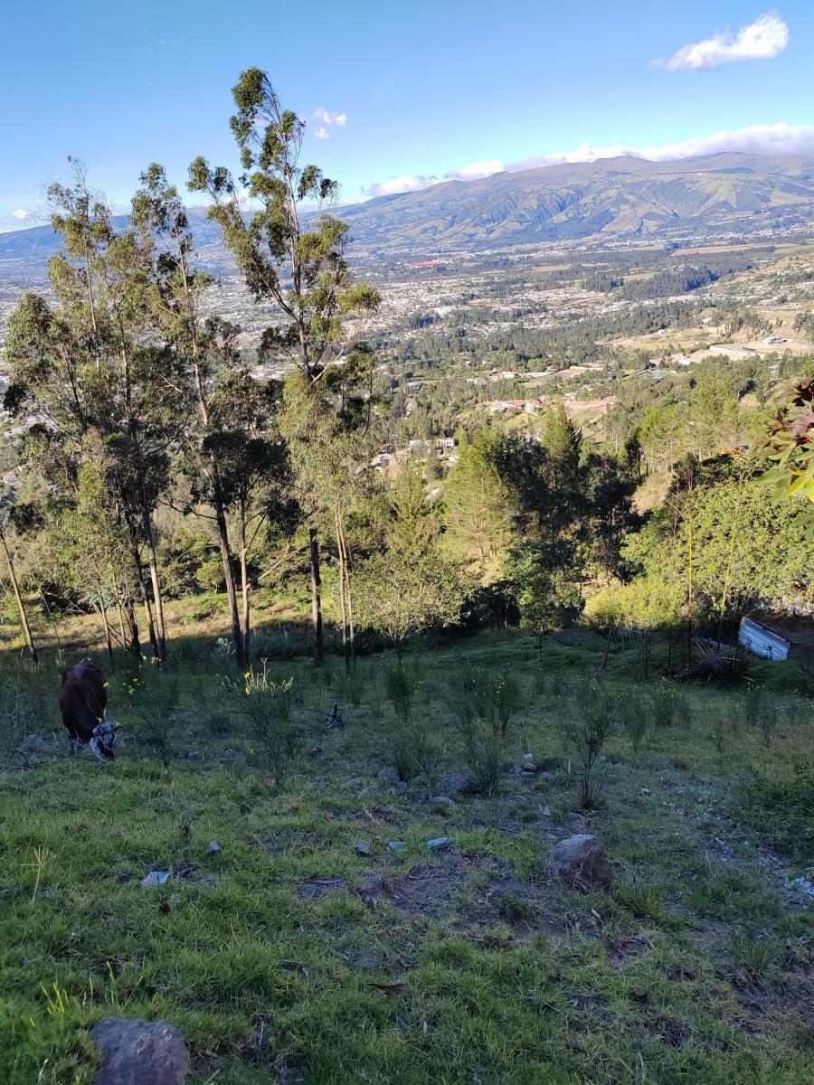 Vendo Terreno en Tumbaco - Comuna Leopoldo Chávez — imagen 8
