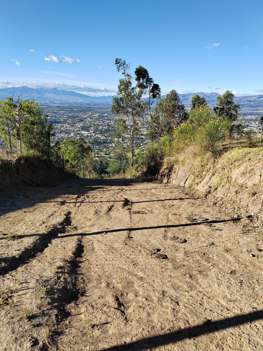 Vendo Terreno en Tumbaco - Comuna Leopoldo Chávez — imagen 7