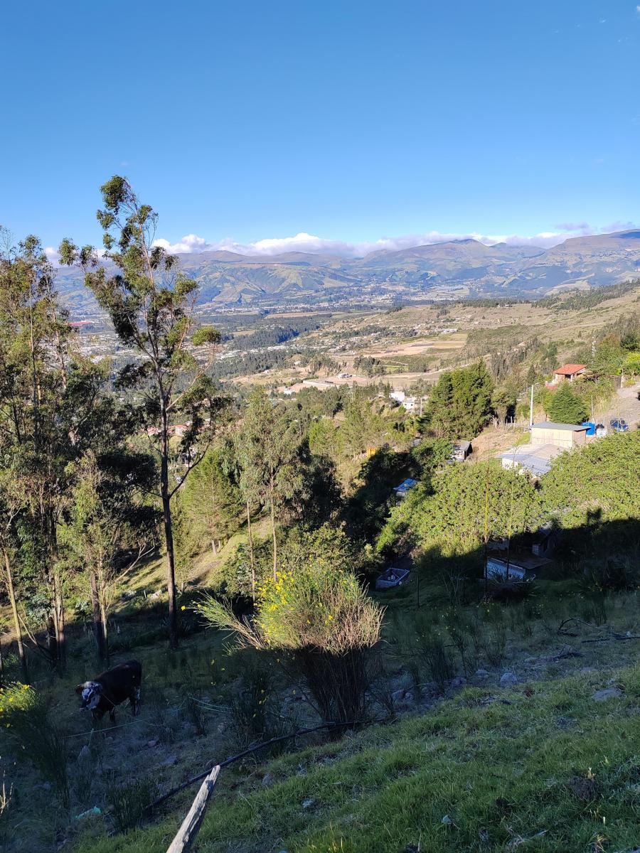 Vendo Terreno en Tumbaco - Comuna Leopoldo Chávez — imagen 3