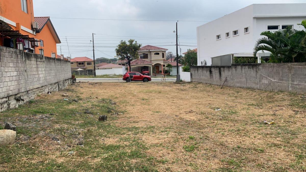 Condado Vicolinci, Terreno, Guayas — imagen 7