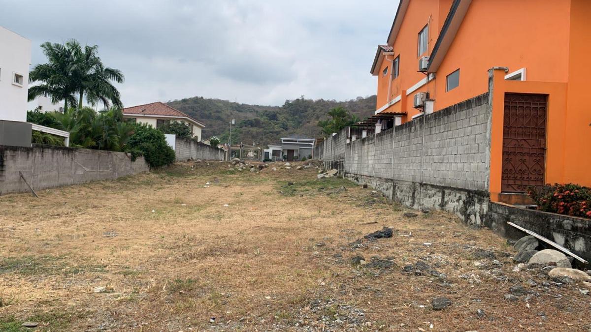 Condado Vicolinci, Terreno, Guayas — imagen 6