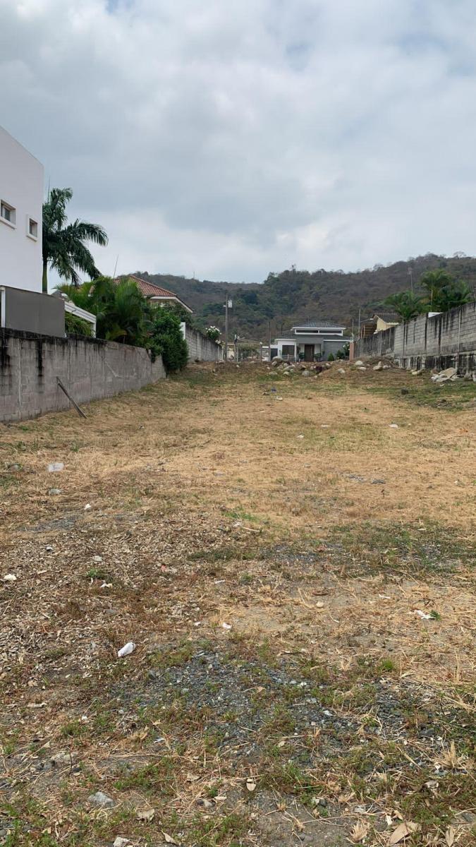 Condado Vicolinci, Terreno, Guayas — imagen 5