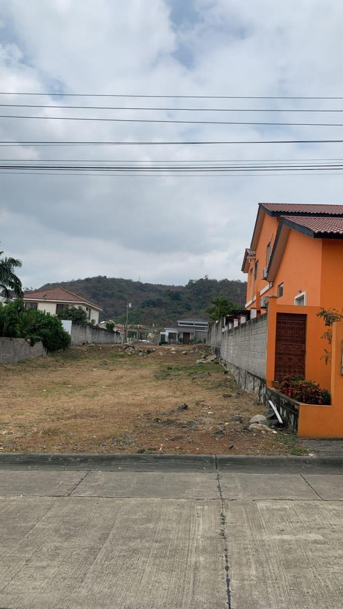 Condado Vicolinci, Terreno, Guayas — imagen 3