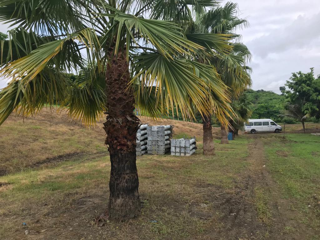 Se Vende Macrolote en Km 35 Vía a La Costa - R. Puga, Guayas — imagen 10