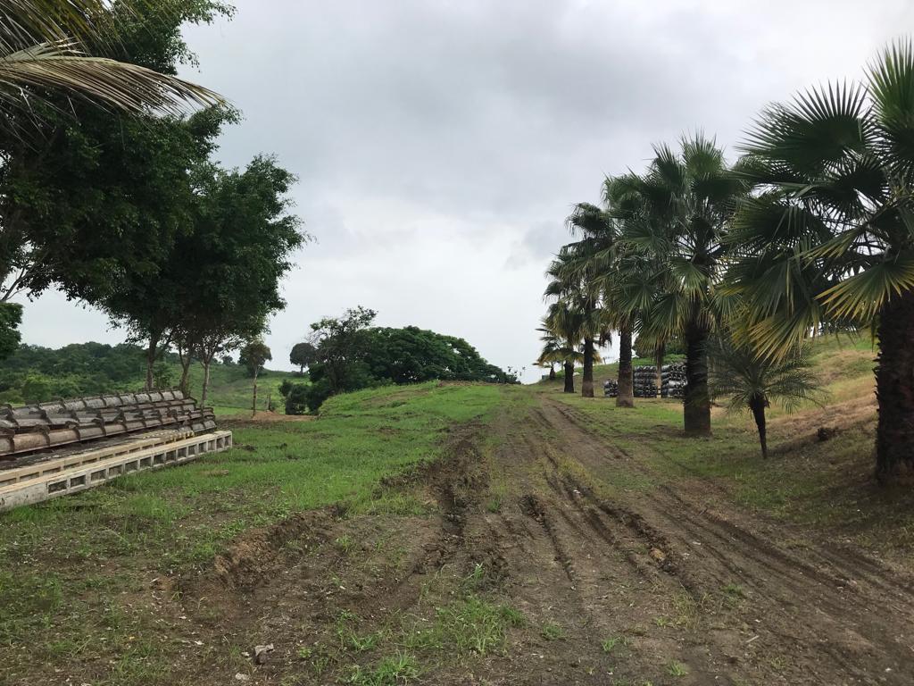Se Vende Macrolote en Km 35 Vía a La Costa - R. Puga, Guayas — imagen 4