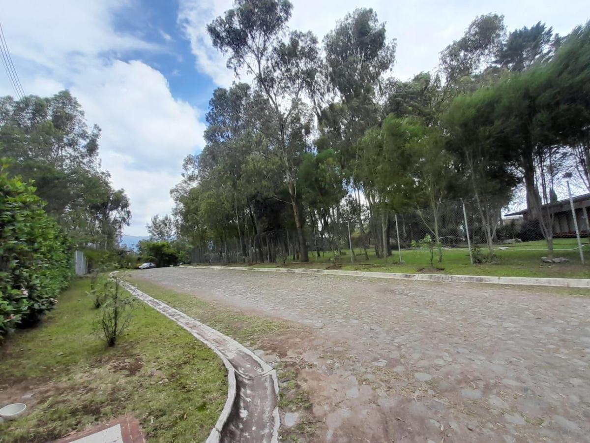Terrenos de Venta Sector Las Peñas — imagen 10