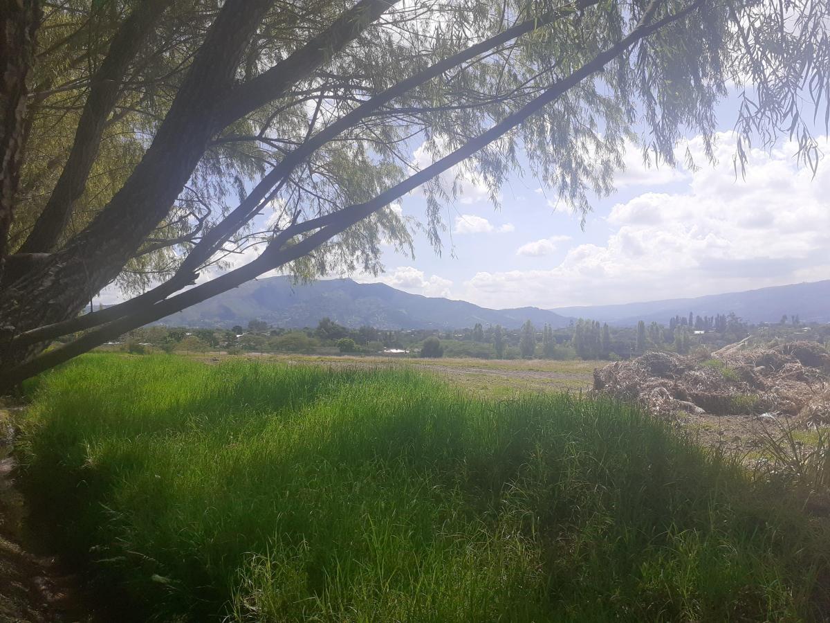 Terrenos de Venta Sector Las Peñas — imagen 6