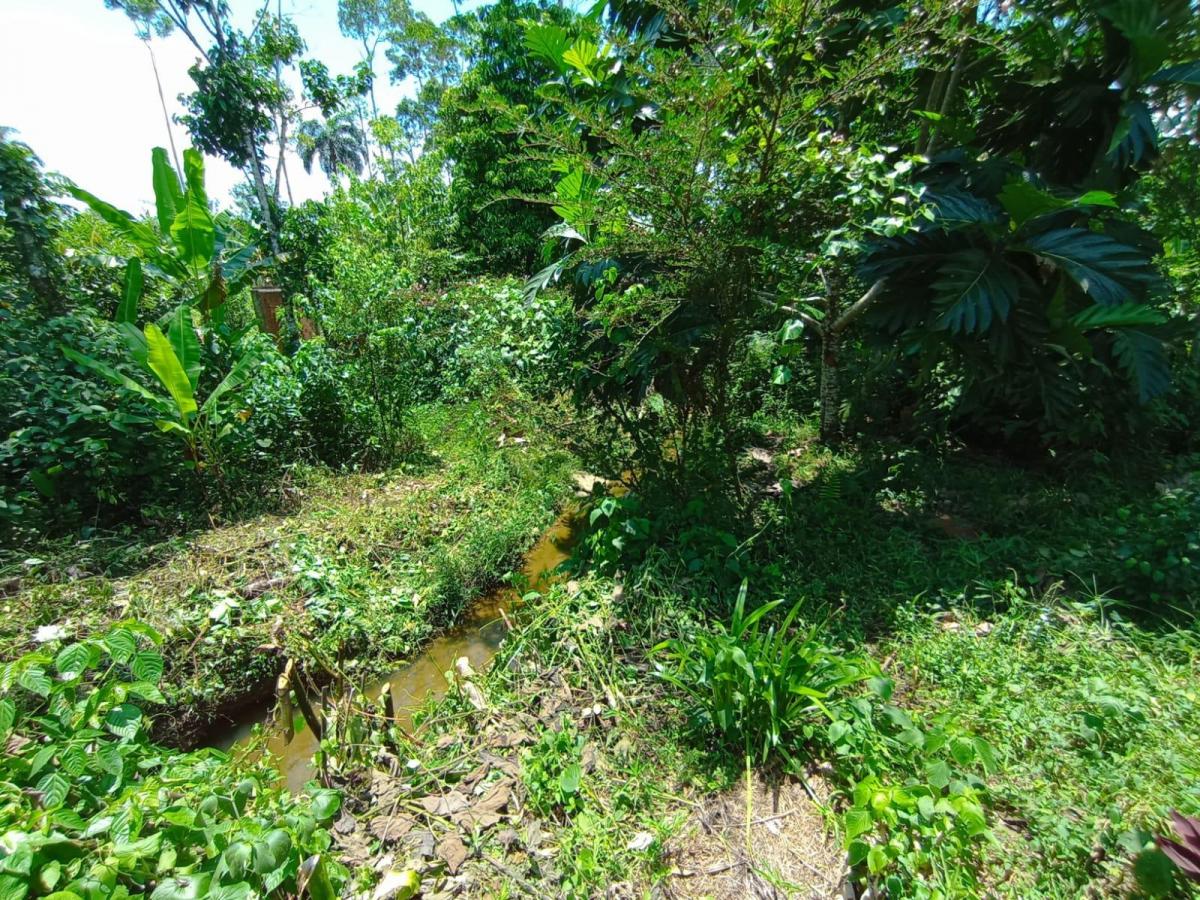 Tena - Vendo Hermoso Terreno, Napo — imagen 10