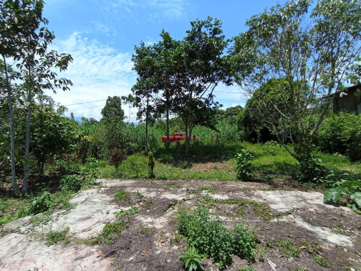 Tena - Vendo Hermoso Terreno, Napo — imagen 9