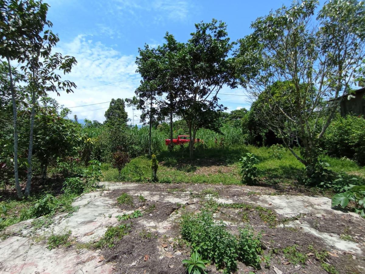 Tena - Vendo Hermoso Terreno, Napo — imagen 8