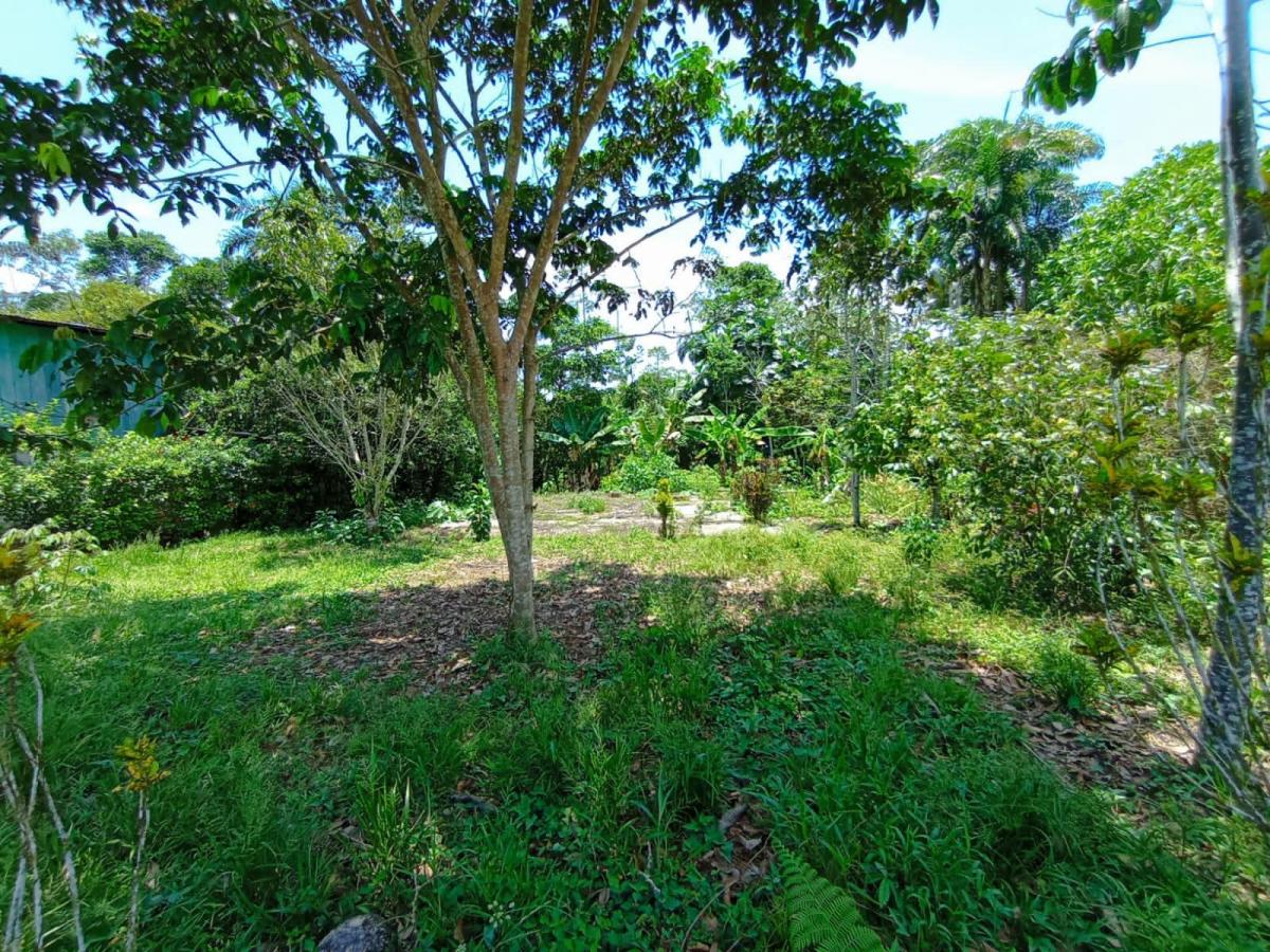 Tena - Vendo Hermoso Terreno, Napo — imagen 7