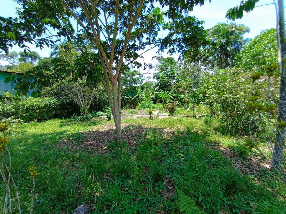 Tena - Vendo Hermoso Terreno, Napo — imagen 6