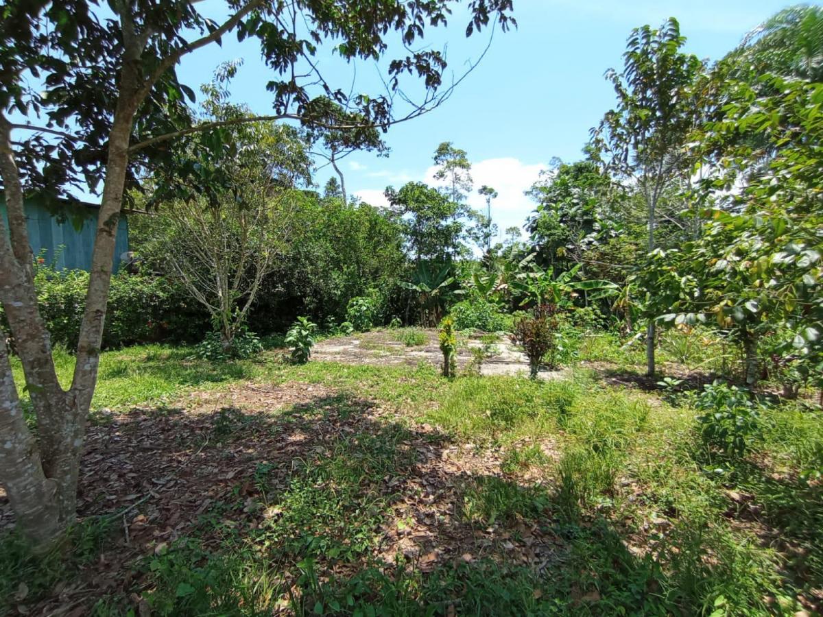 Tena - Vendo Hermoso Terreno, Napo — imagen 4