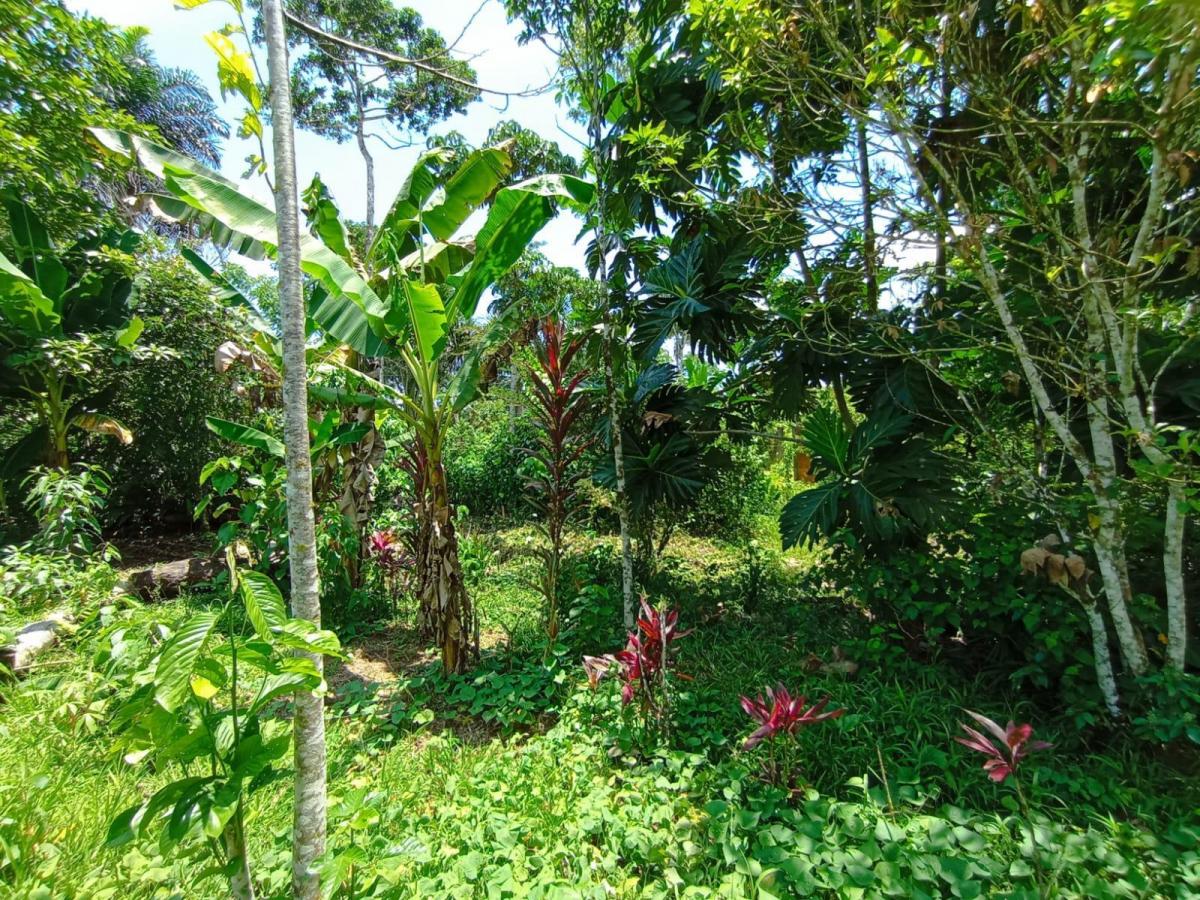 Tena - Vendo Hermoso Terreno, Napo — imagen 3