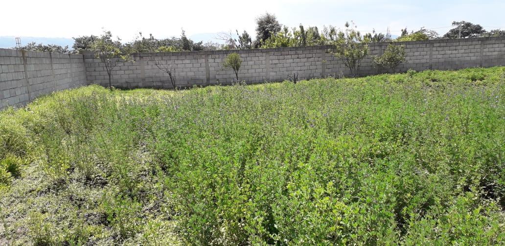 Re/max Futuro Vende Ideal Terreno en Tumbaco de 2003 m² Usd $220.000 — imagen 9